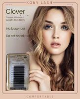 Koni Golden Crown four-leaf clover grafted eyelashes 0.03mm soft and natural thick with 4d flowering fairy false eyelashes