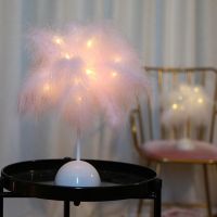 【CW】 Night Feather Lampshade Lights Table Lamp for Room Bedroom Bedside Reading Sleeping