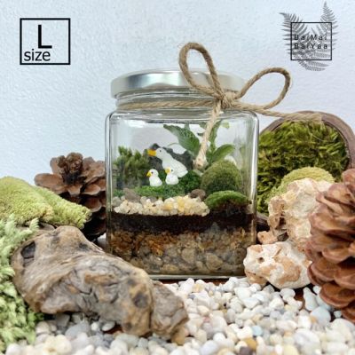 ชุดจัดสวนขวดแก้ว terrarium DIY Size L ขวดทรงสี่เหลี่ยม