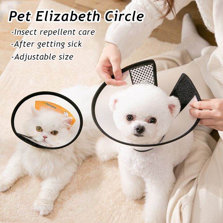Pet protective collar Dog Elizabeth collar Dog protective collar Cat