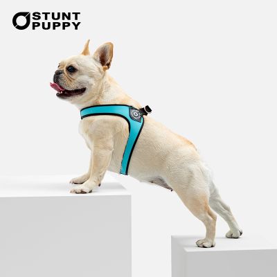 （PAPI PET） Stunt Puppy สัตว์เลี้ยงขนาดเล็กสายรัดสุนัขสายจูงสุนัข Chihuahua Pomeranian Schnauzer Yorkshire Terrier Bulldog อุปกรณ์เสริม