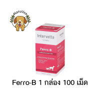 Intervetta Dr. Choice Ferro-B Exp.12/2023 บำรุงเลือด โลหิตจาง ให้นมลูก ตั้งท้อง สุนัข หมา แมว Iron Supplement dog cat (1 กล่อง 100 เม็ด)