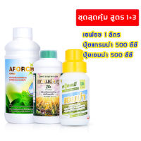 ชุดสุดคุ้ม เอฟอช 1 ลิตร ปุ๋ยแกรมม่า 500 ซีซี ปุ๋ยเอมม่า ป้องกันเชื้อรา 500 ซีซี ใบเชียว ต้นสมบูรณ์ Aforch สารจับใบ ปุ๋ยน้ำ
