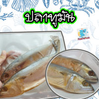 ถูกที่สุด ปลาทูมัน ปลาทูหอม จากแม่กลอง สด ใหม่ รับประกันความอร่อย บรรจุแพ็คละ 2 ตัว ไซส์จัมโบ้