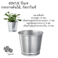 กระถางต้นไม้, กัลวาไนซ์, 9 ซม. BINTJE บีนเช