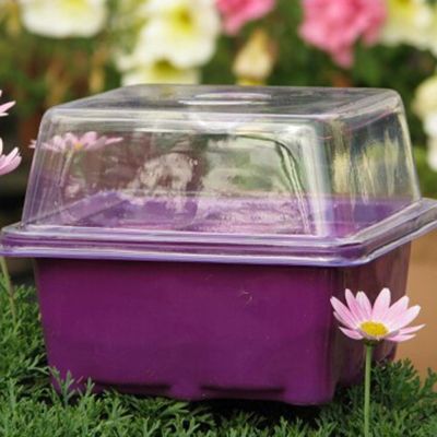 Flower Starter Multi compartments Plant Grow Tray High Survival Rate Flower Grow Box Drainage Hole Germination Plant Tray