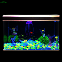 ?【Lowest price】HOMA 100ชิ้น/ถุงสีผสมกลางแจ้งส่องสว่างหินเรืองแสงในสวนมืดกรวด Fish TANK Decoration Pebble Rocks Aquarium Decor