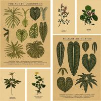 2023 ✾✒ Botanical Illustration Poster Plant Leaf Flower Kraft Paper Posters Vintage Home Room Bar Cafe Decor Aesthetic Art Wall Painting