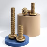 5/10 Pcs M2 M2.5 M3 M4 M5 M6 Brass Cross Head Screw Copper Screw Chassis Small Screw Accessories Daquan