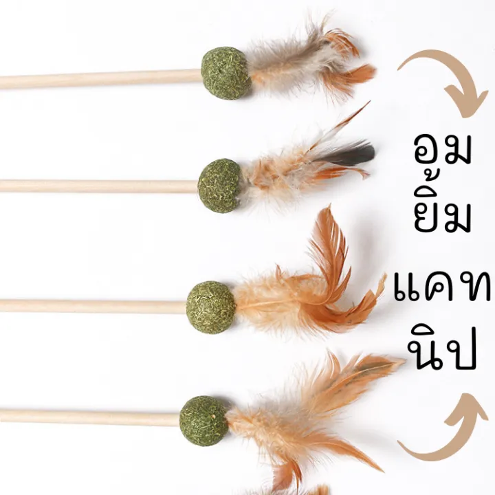 ไม้แคทนิป อมยิ้มแคทนิป มาทาทาบิ ไม้ล่อแมว ไม้ขนนก ของเล่นแมว คลายเครียด