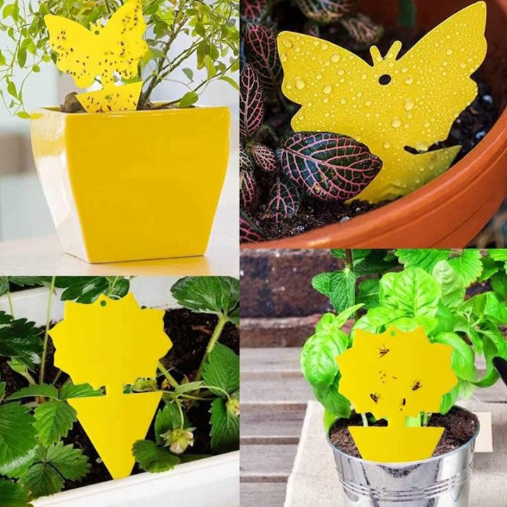 20pcs-sticky-trap-fruit-fly-and-gnat-trap-yellow-sticky-bug-traps-for-indoor-outdoor-use-insect-catcher-for-white-flies