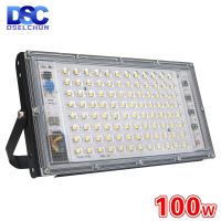 DSELCHUN 100W Led Flood Light AC 220V 230V 240V Outdoor Floodlight Spotlight IP65 Waterproof LED Street Lamp Landscape Lighting