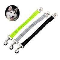 New Reflective Elastic stretch Pet dog Lead Leash Extend rope Anti-strain 2.5CM cat Dog traction extension belt for dogs