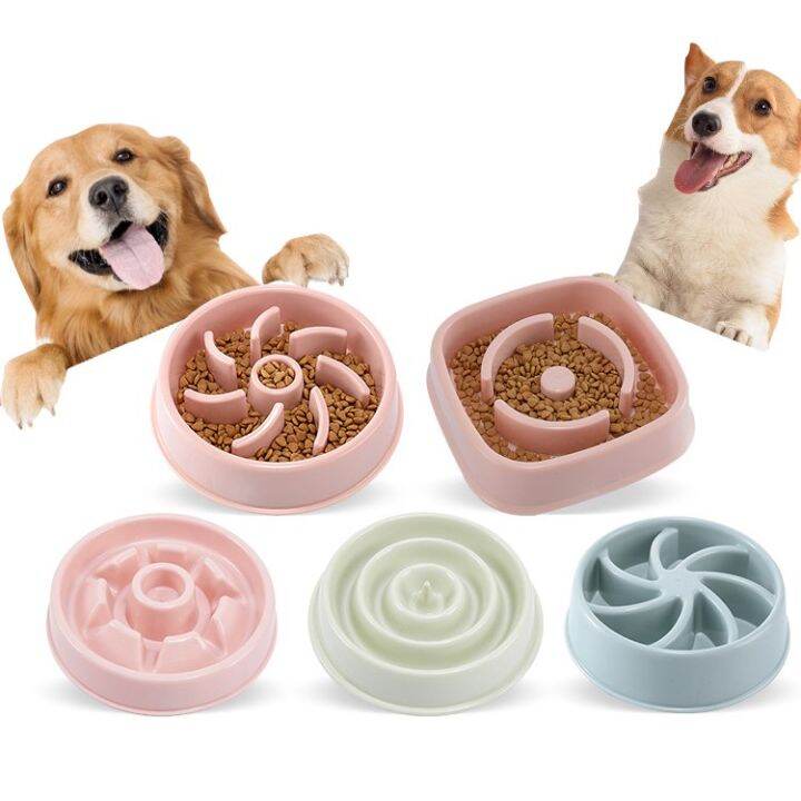 Slow Feeding Bowl for Dog and Cat Lazada PH