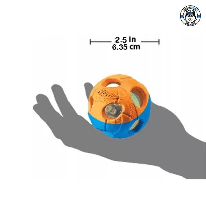 nerf-dog-2-color-led-bash-ball-ของเล่นสุนัขทรงตะกร้อ-2-สี-มีไฟกระพริบ-small-2-5inch-medium-3inch