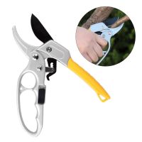 Behogar Professional Stainless Steel Garden Trimming Scissors Pruner Shears Trimmers for Stems Flowers Plants Rose Bush Shrubs