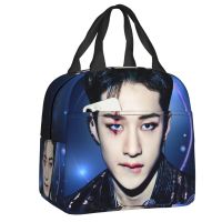 ∋∈ Stray Kids Insulated Lunch Bag for Outdoor Picnic Group Music Resuable Thermal Cooler Bento Box Women Children