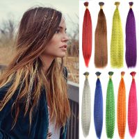 Feather Hair Extension 10Pieces Fake Hair I Tip Rainbow Synthetic Hair 16inch Hairpiece Feather for Hair Extension Wig  Hair Extensions  Pads