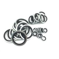 Baja karbon dan baja tahan karat karet FKM Inggris gasket penyumbat peniris minyak segel cincin G1/8 G2 gasket kombinasi cincin segel