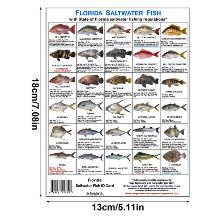 mini-pocket-guide-for-scuba-divers-fish-identification-guide-for-snorkelers-saltwater-fish-card-poster-waterproof-magnet-picture-elegantly