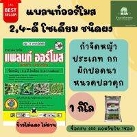 แพลนท์ออร์โมส (2-4ดี ผง) หมาแดง หมาแดงผง กำจัดวัชพืช ใบกว้าง,กก,เครือเถา ฉีดแล้วข้าวไม่แดง ไม่อาน ขนาด 1กก