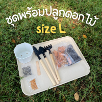 ชุดปลูกดอกไม้ (Size L ) อุปกรณ์ครบ มีใบคู่มือการปลูกให้