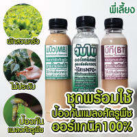 จับใบลดแรงตึงผิวของใบ ออร์แกนิคแท้ ไร้N70+บีที​ BT​สูตรน้ำด+เมธาไรเซียม​ บิวเวอร์เรีย​ สูตรน้ำ