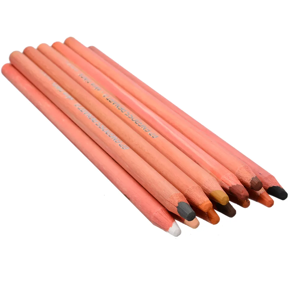 12Pcs Colored Pencils Wood Pastel Pencils Professional Portrait Drawing  Skin Tints Soft Pastel Colored Pencils 175mm