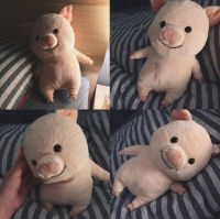 (พร้อมส่ง) ตุ๊กตาหมู 25cm ตุ๊กตาน้องหมูนุ่มนิ่ม Pig Doll