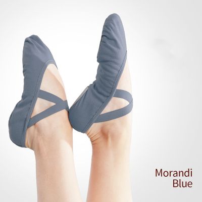 【CC】 Ballet shoes Adult Children Slippers Soft Sole Canvas Training Shoes for