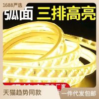 Led Strip Light Household 5730 Bright Double Row High Voltage Led Strip Light Bar Indoor Outdoor 2835 Monochromatic Light Waterproof CHN-Q