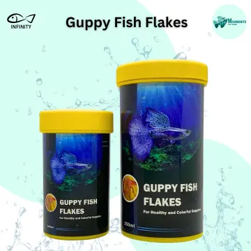 Guppy fry clearance food