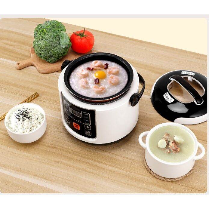 2L mini car rice cooker 24v truck 12v self driving car travel car