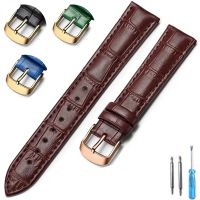 【CC】 strap Leather 18mm 20mm 22mm watch accessories quality black gold buckle watchbands