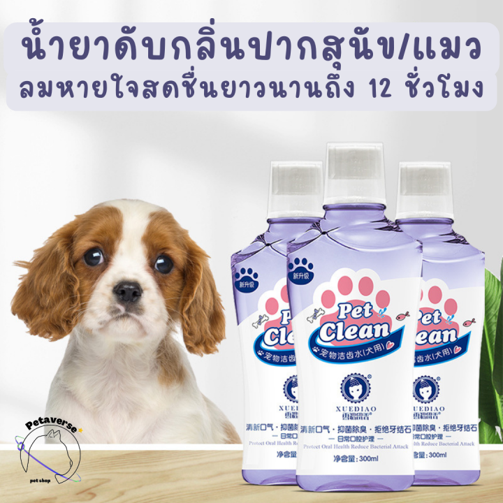 petaverse-petshop-น้ำยาดับกลิ่นปากสัตว์เลี้ยงแบบผสมกับน้ำดื่ม-น้ำยาลดกลิ่นปากสุนัข-แมว-สูตรอ่อนโยน-ปริมาณ-300-ml