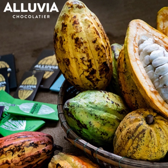 Socola nguyên chất sữa 40% ca cao ngọt ngào alluvia chocolate thanh nhỏ 30 - ảnh sản phẩm 7