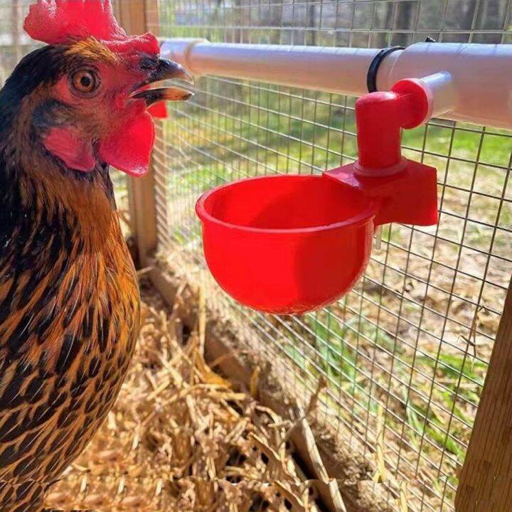 Automatic Chicken Water Cup Waterer Bowl Kit Farm Coop Poultry Waterer