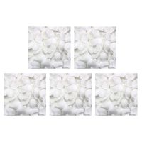 2500 Rose Petals Scattered White Decoration Wedding Party