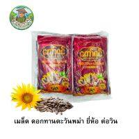 เมล็ดทานตะวัน ตรา ต่อวิน พม่า กลมกล่อม (1แพ็ค 10 ถุงเล็ก ) Taw Win Sunflower Seed