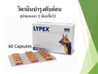 [ EXP 2023 ] LYPEX by VetPlus [60 แคปซูล] เอนไซม์ช่วยย่อยอาหาร อาหารเสริม ในสุนัข-แมวที่เป็นตับอ่อนอักเสบ EPI