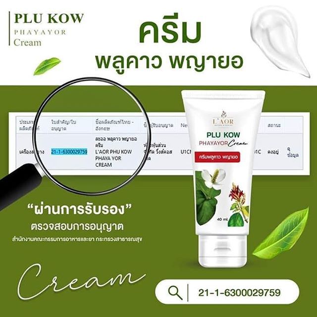 ครีมพลูคาว-พญายอ-ครีมพลูคาว-1หลอด-ขนาด40ml-ครีมสกัดจากสมุนไพร-บำรุงผิว-คัน-กาก-คันแพ้ต่าง-ครีมพลูคาวพญายอ-ครีมทาผิว-พลูคาว