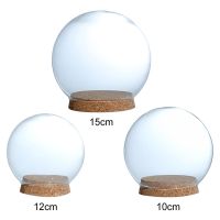Glass Dome Display Wood Cork Bell Jar Cover Cloche Display With Wooden Base DIY Micro Landscape Plant Container Decoation Craft  Power Points  Switche