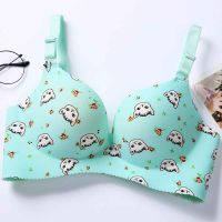 （A So Cute） น่ารัก Push Up Bras สำหรับ WomenPadded SeamlessComfortable Dollgirl Underwear