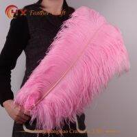 Wholesale Hard rod 10pcs/lot natural pink Ostrich Feathers 15-75cm /6-30" Wedding Christmas Decorations DIY Feather