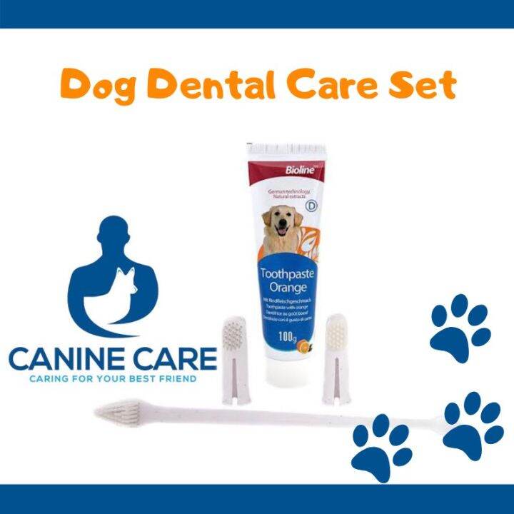 Bioline Dental Care Set Orange Flavor for Dogs Lazada PH