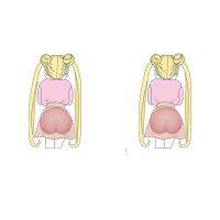 สติกเกอร์ป้องกันรอยขีดข่วนสำหรับประตูรถอัตโนมัติที่นั่งซูซุกิแกรนด์วิทารา Ibiza Mk2 6j ที่นั่ง Leon Fiat 500 Accessorissecurity