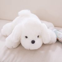 【ของเล่นตุ๊กตา】 Collection White Teddy Poodle Dog Kid Plush Toy Simulation Lovely Bichon Frise Children Gift Kawaii Lifelike Stuffed Animal Doll ！