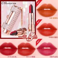 ลิปเปลี่ยนสี 5 สี ในแท่งเดียว ติดทน แพ็กเกจสวยหรู พกพาสะดวก  5IN1 LIPSTICK well content (no.5876)