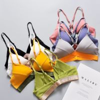 ?Minimal?ทูโทน บราไร้ขอบไร้โครง SOFT BRA งานสวยเนียนเฉียบ