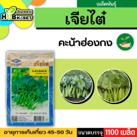 เจียไต๋ ?? คะน้าฮ่องกง ขนาดบรรจุประมาณ 1100 เมล็ด อายุเก็บเกี่ยว 45-50 วัน